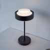 SCHÖNER WOHNEN-Kollektion ELMO LED office table lamp with touch switch, modern