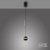Schöner Wohnen-Kollektion LINI LED 3000 K 650 lm globe pendant light, height-adjustable