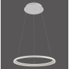 Schöner Wohnen-Kollektion QUILLO LED minimalist modern ring pendant light, Ø 60 cm