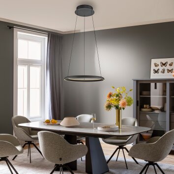 SCHÖNER WOHNEN-Kollektion QUILLO LED ring pendant light, height-adjustable