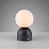 SCHÖNER WOHNEN-Kollektion RUDI modern LED globe table lamp with touch switch