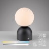 SCHÖNER WOHNEN-Kollektion RUDI modern LED globe table lamp with touch switch