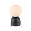 SCHÖNER WOHNEN-Kollektion RUDI modern LED globe table lamp with touch switch