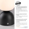 SCHÖNER WOHNEN-Kollektion RUDI modern LED globe table lamp with touch switch