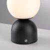 SCHÖNER WOHNEN-Kollektion RUDI modern LED globe table lamp with touch switch