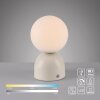 SCHÖNER WOHNEN-Kollektion RUDI LED globe table lamp with touch switch