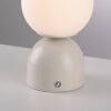 SCHÖNER WOHNEN-Kollektion RUDI LED globe table lamp with touch switch