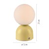 SCHÖNER WOHNEN-Kollektion LED globe table lamp with touch switch, 3000-6000 K, 140 lm, 1.2 W