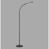 Paul Neuhaus LED curved-arm floor lamp ELLY, adjustable colour temperature 2700-5000 Kelvin