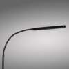 Paul Neuhaus LED curved-arm floor lamp ELLY, adjustable colour temperature 2700-5000 Kelvin