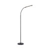 Paul Neuhaus LED curved-arm floor lamp ELLY, adjustable colour temperature 2700-5000 Kelvin