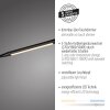 Paul Neuhaus LED curved-arm floor lamp ELLY, adjustable colour temperature 2700-5000 Kelvin