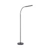 Paul Neuhaus LED curved-arm floor lamp ELLY, adjustable colour temperature 2700-5000 Kelvin