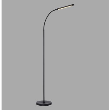 Paul Neuhaus LED curved-arm floor lamp ELLY, adjustable colour temperature 2700-5000 Kelvin
