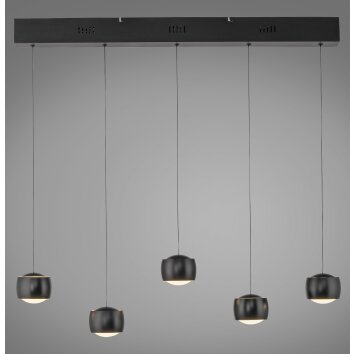 Leuchten Direkt LED pendant light BALLINI, height-adjustable, 3000 Kelvin warm white