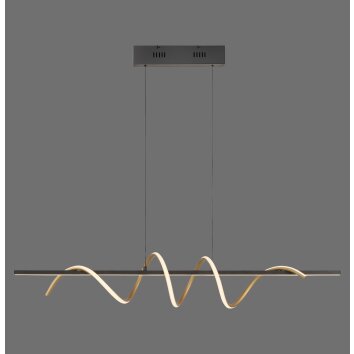 Leuchten Direkt LED pendant light Emanda, brass wave, adjustable, 3000 Kelvin warm white