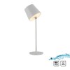 Leuchten Direkt LED Table Lamp BOTERIA, angled shade, adjustable, 3000 Kelvin warm white