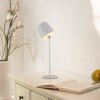 Leuchten Direkt LED Table Lamp BOTERIA, angled shade, adjustable, 3000 Kelvin warm white