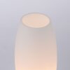 Paul Neuhaus Table Lamp JOY with tapered oval white glass shade, 3000 Kelvin warm white
