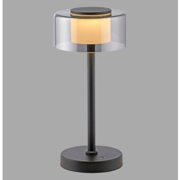 Paul Neuhaus LED Table Lamp RIKA, layered shade, memory function, 3000 Kelvin warm white