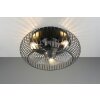 Reality Cage ceiling fan light Johanna, round metal grille, with remote control, 3 speeds