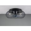 Reality Cage ceiling fan light Johanna, round metal grille, with remote control, 3 speeds