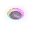 Reality LED ceiling fan light Holmsund, adjustable colour temperature 3000-6500 Kelvin