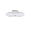 Reality LED ceiling fan light Holmsund, adjustable colour temperature 3000-6500 Kelvin