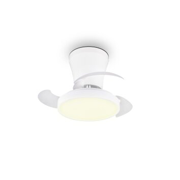 Reality LED ceiling fan light Moss, adjustable colour temperature 2700-6500 Kelvin