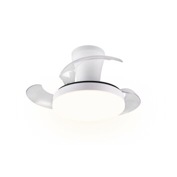 Reality LED ceiling fan light Tampere, adjustable colour temperature 2700-6500 Kelvin