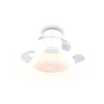 Reality LED ceiling fan light Boras, adjustable colour temperature 2700-6500 Kelvin