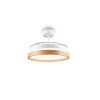 Reality LED ceiling fan light Volda, adjustable colour temperature 2700-6500 Kelvin