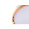 Reality LED ceiling fan light Volda, adjustable colour temperature 2700-6500 Kelvin