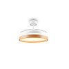Reality LED ceiling fan light Volda, adjustable colour temperature 2700-6500 Kelvin