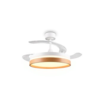Reality LED ceiling fan light Volda, adjustable colour temperature 2700-6500 Kelvin