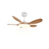 Reality LED ceiling fan Flen, adjustable colour temperature 2700-6500 Kelvin