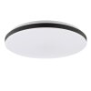 Brilliant Leuchten LED ceiling light Livio, flat round, with motion and dusk sensors