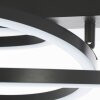 Brilliant LED ceiling light Pedley, black shade, 3000 Kelvin warm white, concentric rings
