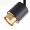Brilliant Ceiling Spotlight Covelo, 2 Rotating Heads, Gold Trim, 3000 Kelvin Warm White