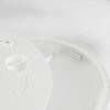 Brilliant white LED ceiling light Samora, adjustable colour temperature 2700-6500 Kelvin