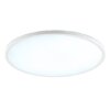 Brilliant white LED ceiling light Samora, adjustable colour temperature 2700-6500 Kelvin