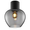Brilliant Leuchten Modern Ceiling Light Ligari with teardrop smoked-glass shade