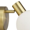 Brilliant Wall Spotlight Cony with a round, swivelling head and white glass shade