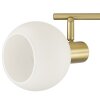 Brilliant Leuchten Two-light ceiling spotlight Cony, brass bar, rotating heads