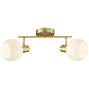 Brilliant Leuchten Two-light ceiling spotlight Cony, brass bar, rotating heads