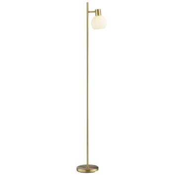 Brilliant floor lamp Cony in brass with rotating and swivelling head for a reading nook