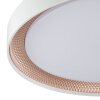 Brilliant LED Ceiling Light Waldo, remote-dimmable, light colour adjustable 3000-6500 Kelvin