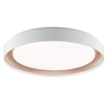 Brilliant LED Ceiling Light Waldo, remote-dimmable, light colour adjustable 3000-6500 Kelvin