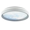 Brilliant LED ceiling light Sky-Dream, adjustable colour temperature 3000-6500 Kelvin