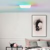 Brilliant LED ceiling light Tanida, remote dimmable, adjustable 3000-6500 Kelvin